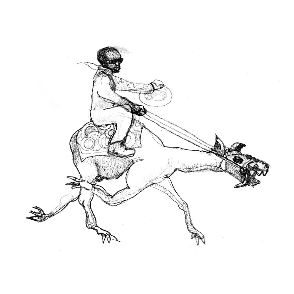 camel racer, graphit, 2010